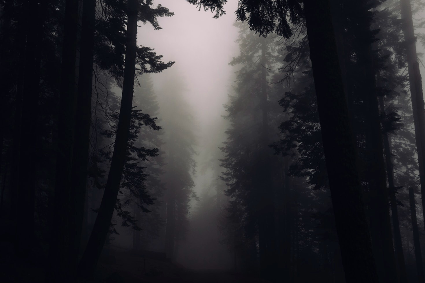 Journey Into the Mind: Linking Philosophy and Wonder