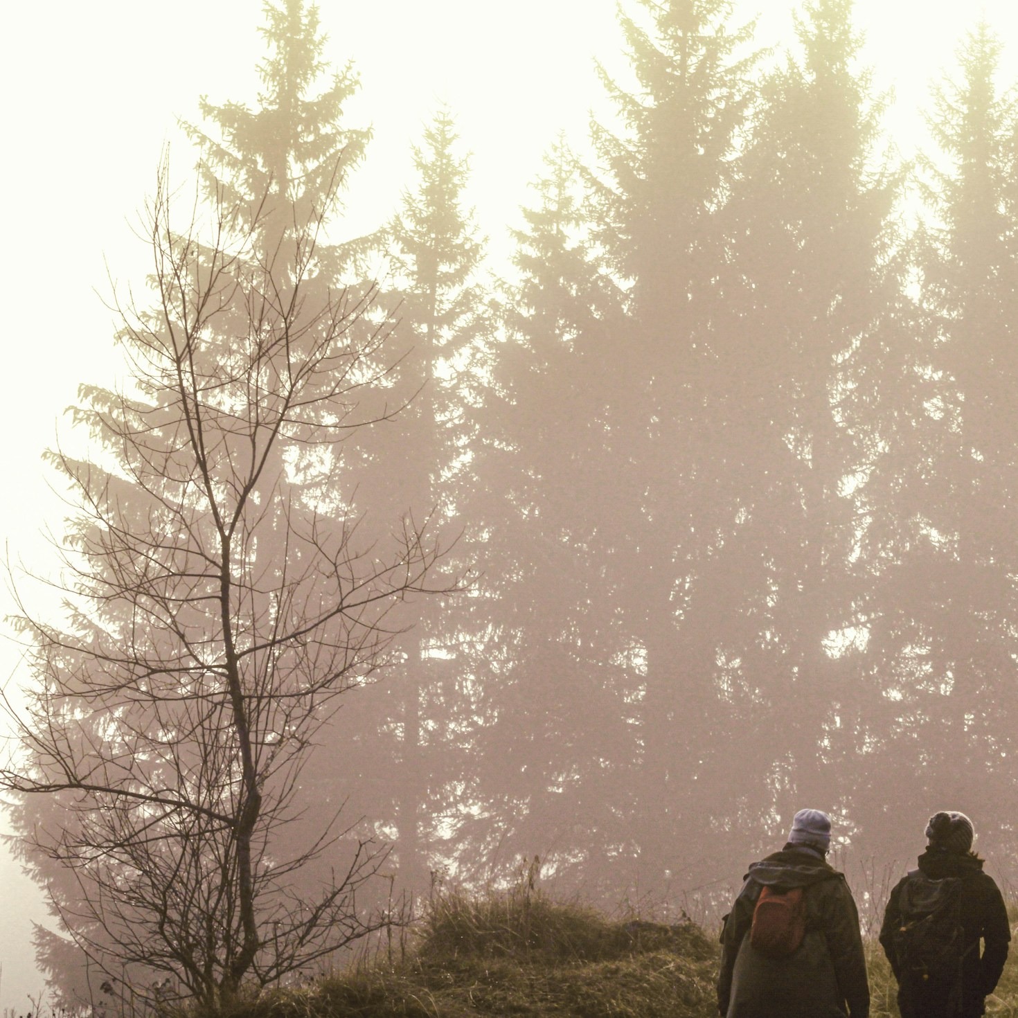 Supernatural Phenomena Through a Philosophical Lens